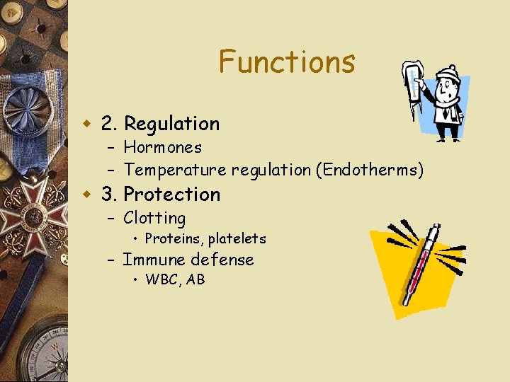 Functions w 2. Regulation – Hormones – Temperature regulation (Endotherms) w 3. Protection –