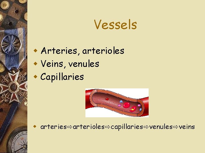 Vessels w Arteries, arterioles w Veins, venules w Capillaries w arteries⇨arterioles⇨capillaries⇨venules⇨veins 