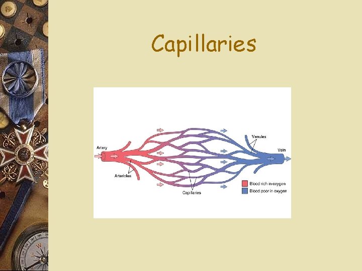 Capillaries 