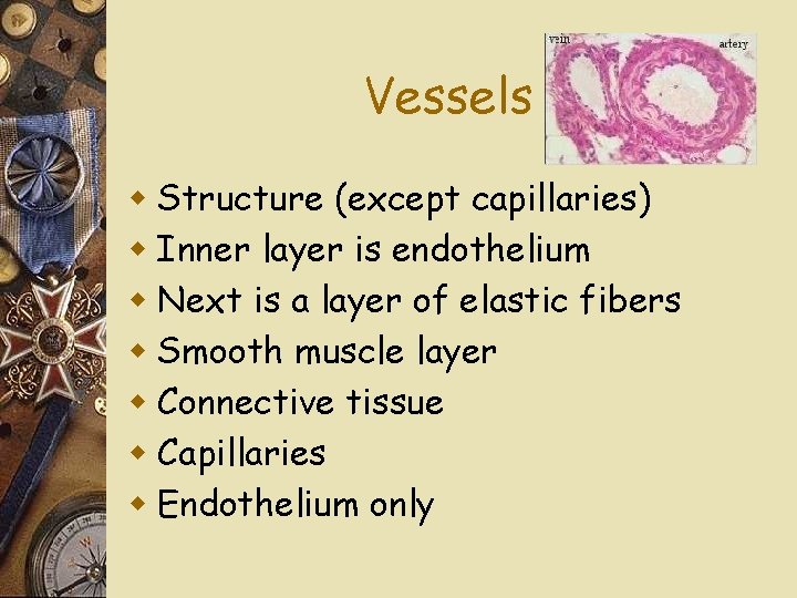 Vessels w Structure (except capillaries) w Inner layer is endothelium w Next is a