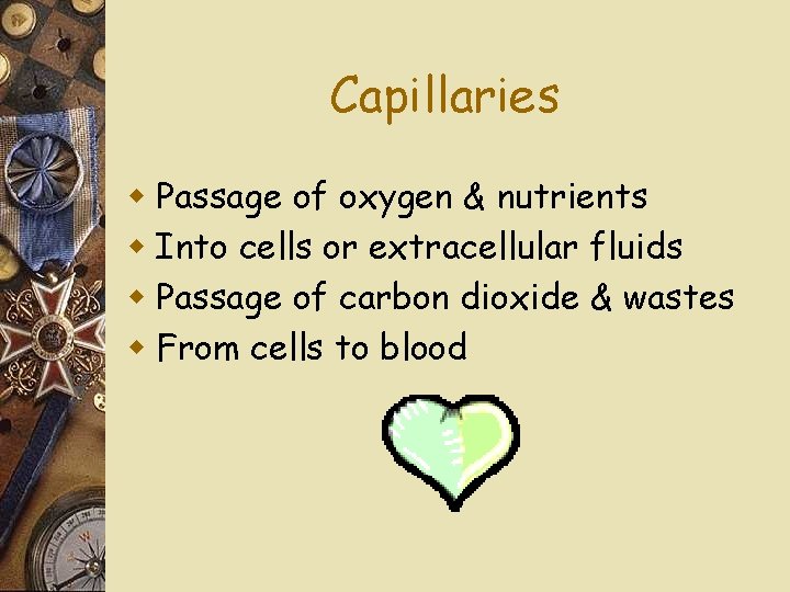 Capillaries w Passage of oxygen & nutrients w Into cells or extracellular fluids w