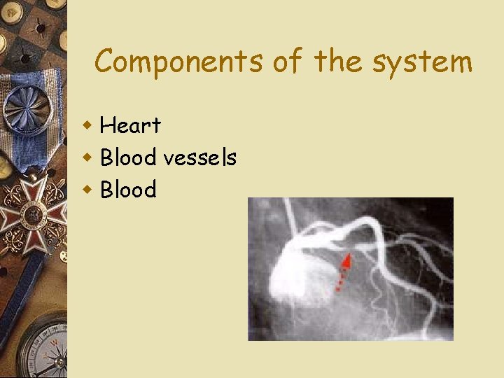 Components of the system w Heart w Blood vessels w Blood 