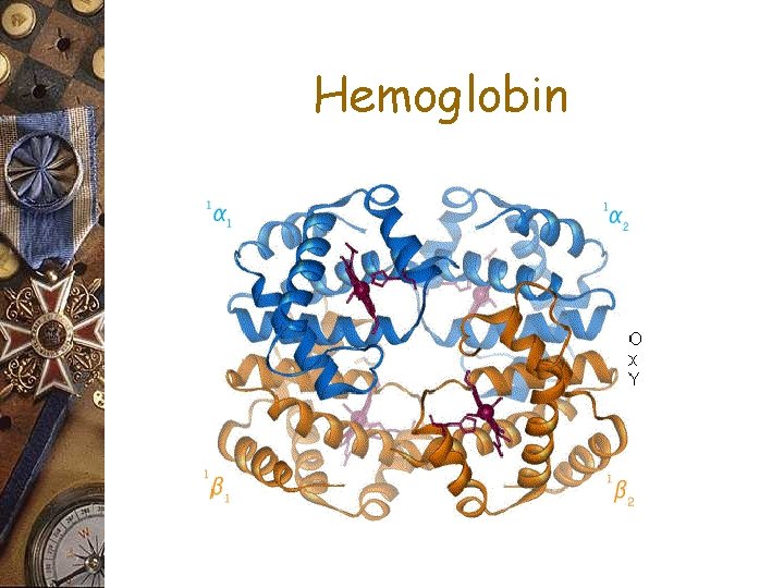 Hemoglobin 