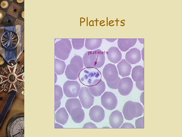 Platelets 