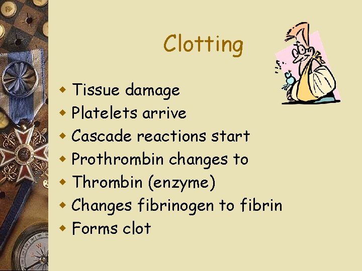 Clotting w Tissue damage w Platelets arrive w Cascade reactions start w Prothrombin changes