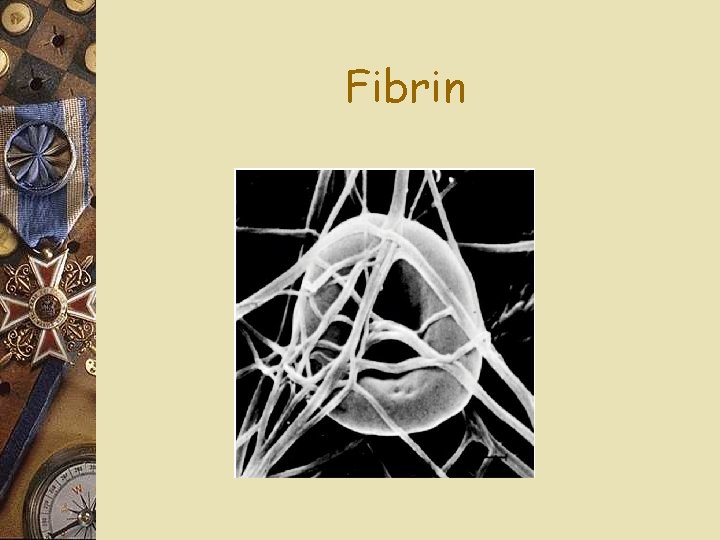 Fibrin 