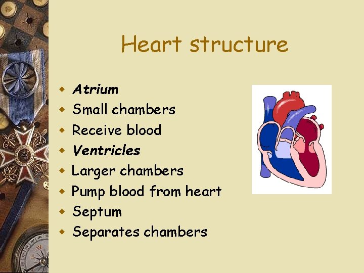 Heart structure w w w w Atrium Small chambers Receive blood Ventricles Larger chambers