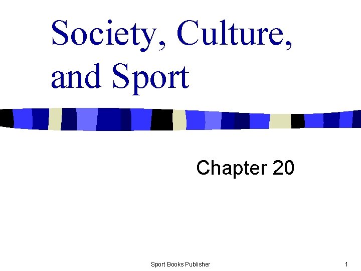 Society, Culture, and Sport Chapter 20 Sport Books Publisher 1 