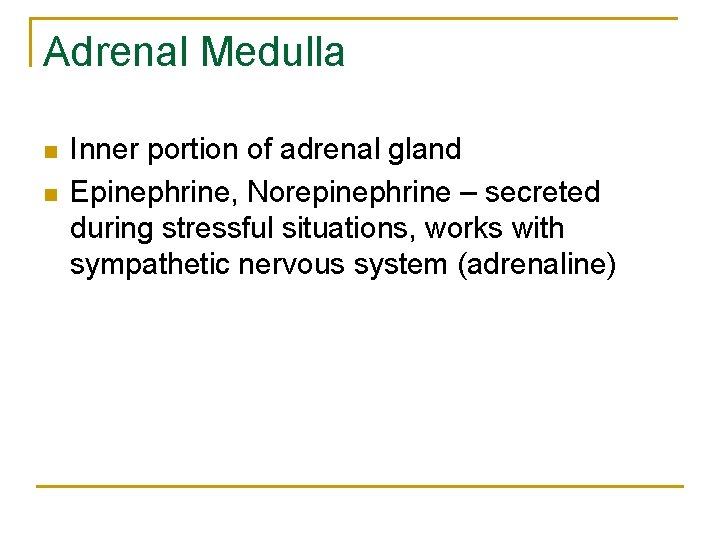Adrenal Medulla n n Inner portion of adrenal gland Epinephrine, Norepinephrine – secreted during