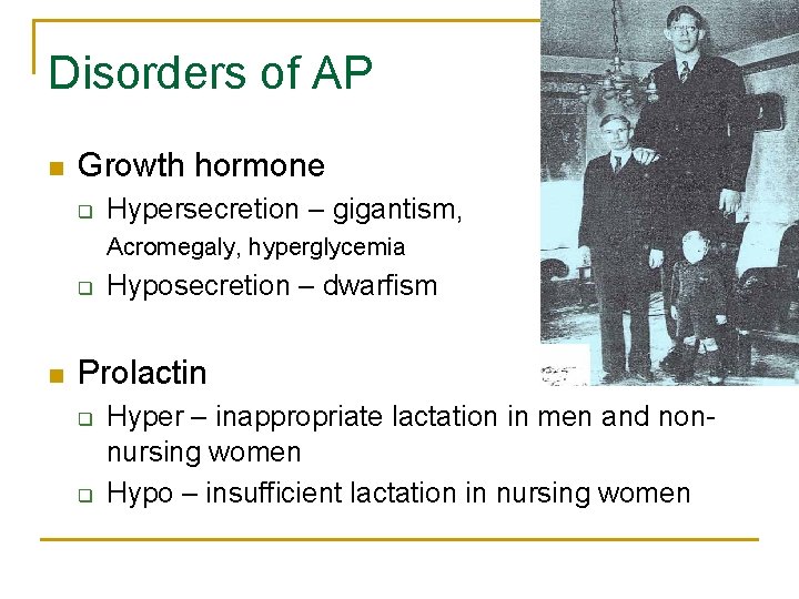 Disorders of AP n Growth hormone q Hypersecretion – gigantism, Acromegaly, hyperglycemia q n
