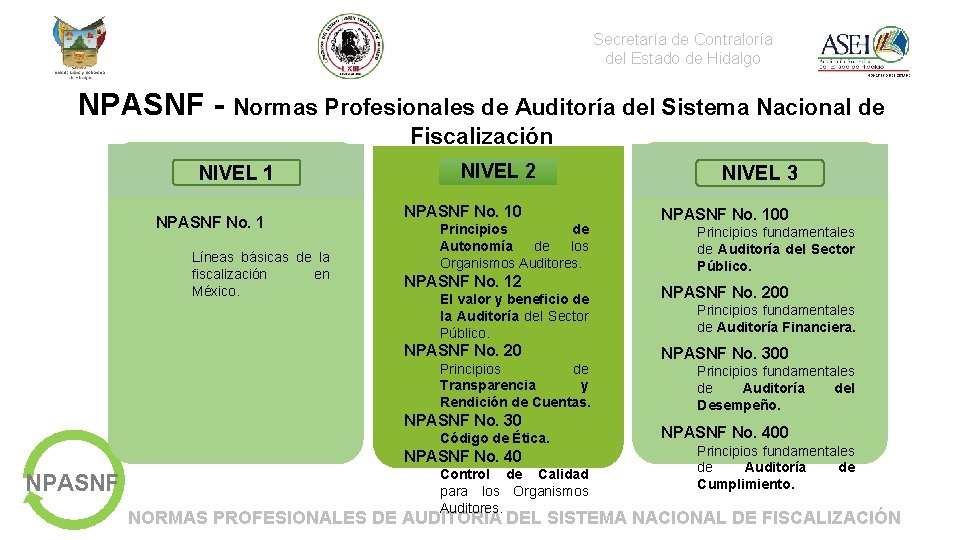 Secretaría de Contraloría del Estado de Hidalgo NPASNF - Normas Profesionales de Auditoría del