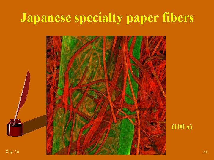 Japanese specialty paper fibers (100 x) Chp. 16 64 