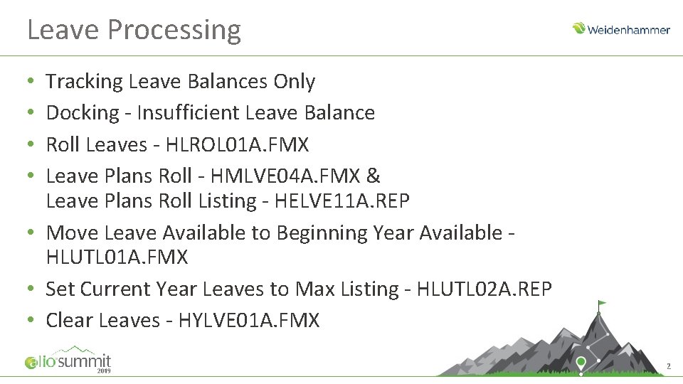 Leave Processing Tracking Leave Balances Only Docking - Insufficient Leave Balance Roll Leaves -