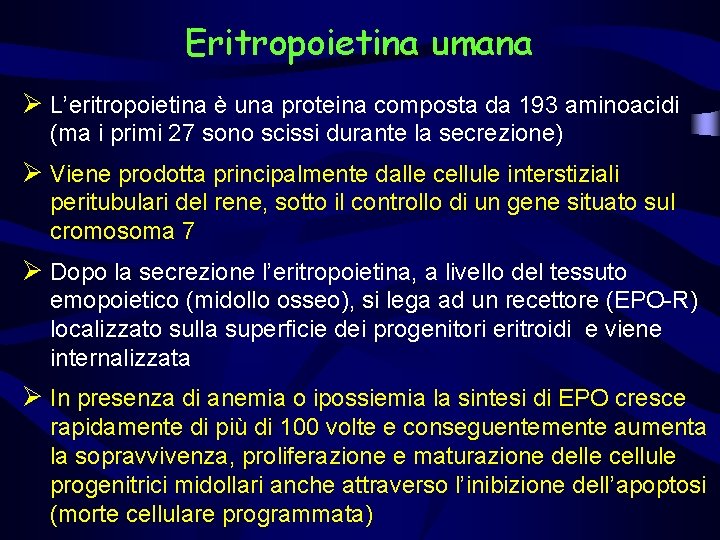 Eritropoietina umana Ø L’eritropoietina è una proteina composta da 193 aminoacidi (ma i primi