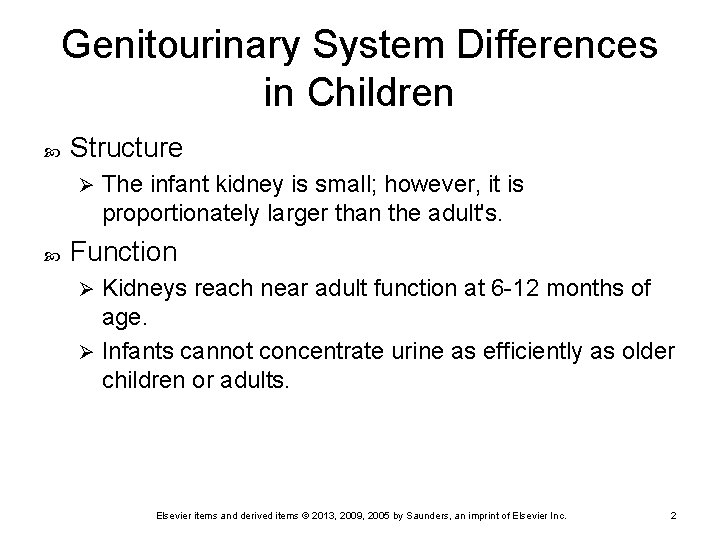 Genitourinary System Differences in Children Structure Ø The infant kidney is small; however, it