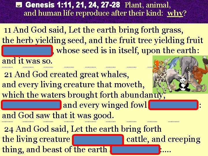 Genesis 1: 11, 24, 27 -28 Plant, animal, and human life reproduce after their