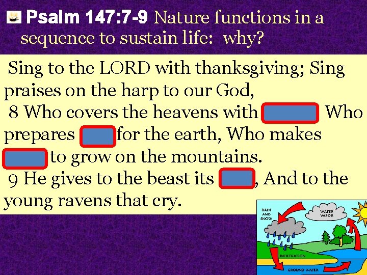 Psalm 147: 7 -9 Nature functions in a sequence to sustain life: why? Sing