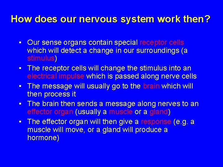 How does our nervous system work then? • Our sense organs contain special receptor