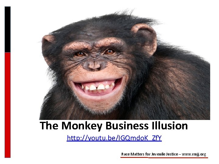 The Monkey Business Illusion http: //youtu. be/IGQmdo. K_Zf. Y Race Matters for Juvenile Justice