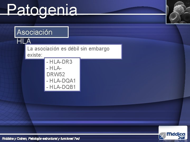 Patogenia Asociación HLA La asociación es débil sin embargo existe: - HLA-DR 3 -