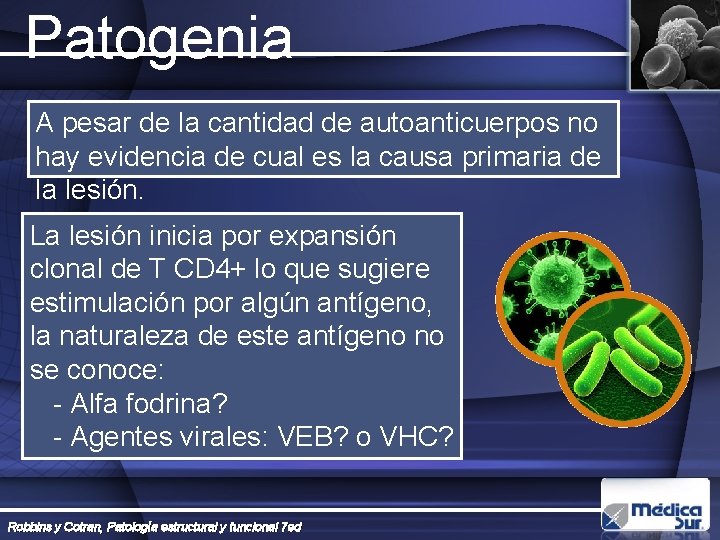 Patogenia A pesar de la cantidad de autoanticuerpos no hay evidencia de cual es