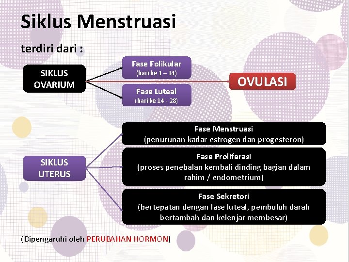 Siklus Menstruasi terdiri dari : SIKLUS OVARIUM Fase Folikular (hari ke 1 – 14)