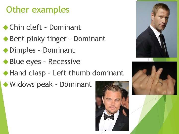 Other examples Chin cleft – Dominant Bent pinky finger – Dominant Dimples Blue –