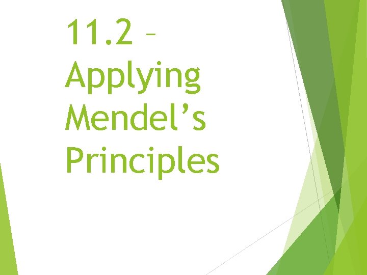 11. 2 – Applying Mendel’s Principles 