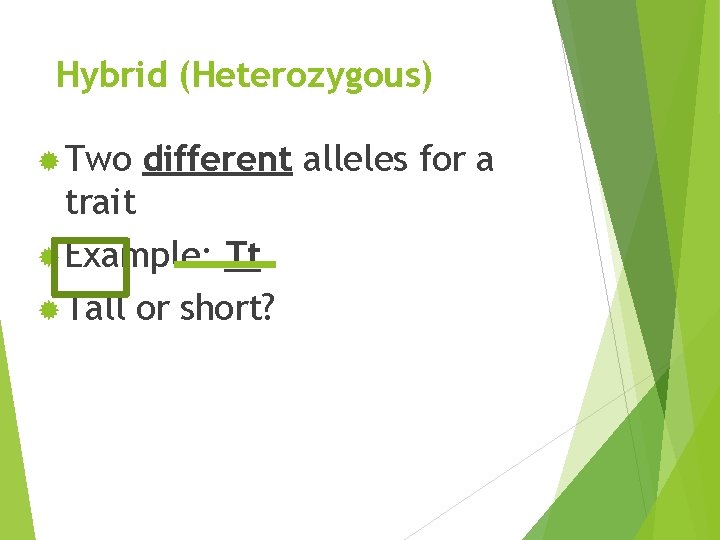 Hybrid (Heterozygous) ® Two different alleles for a trait ® Example: Tt ® Tall