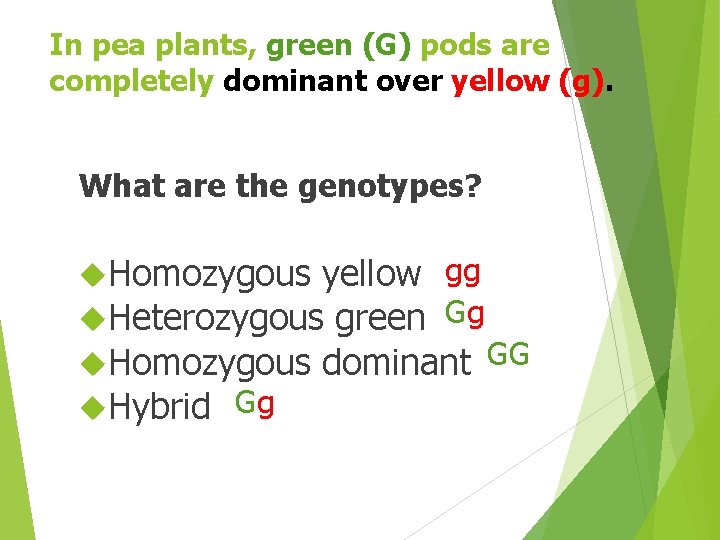 In pea plants, green (G) pods are completely dominant over yellow (g). What are