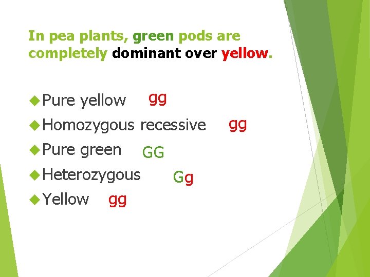 In pea plants, green pods are completely dominant over yellow. Pure gg yellow Homozygous