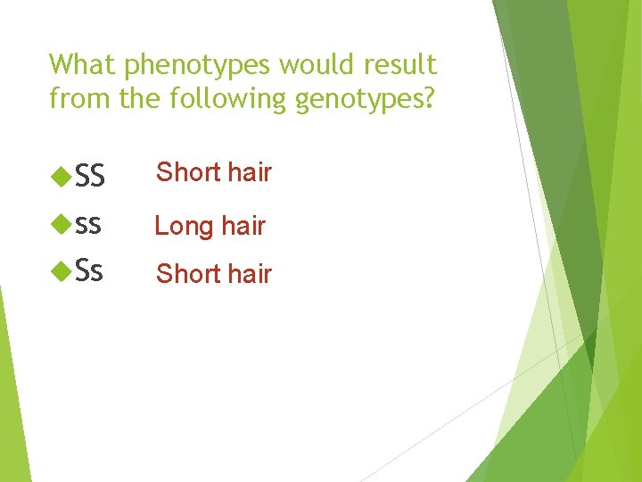 What phenotypes would result from the following genotypes? SS Short hair ss Long hair