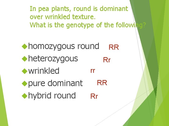 In pea plants, round is dominant over wrinkled texture. What is the genotype of