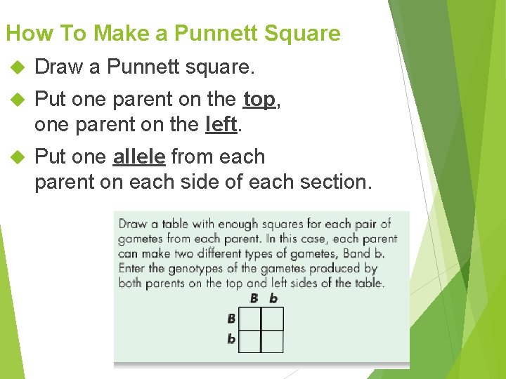 How To Make a Punnett Square Draw a Punnett square. Put one parent on