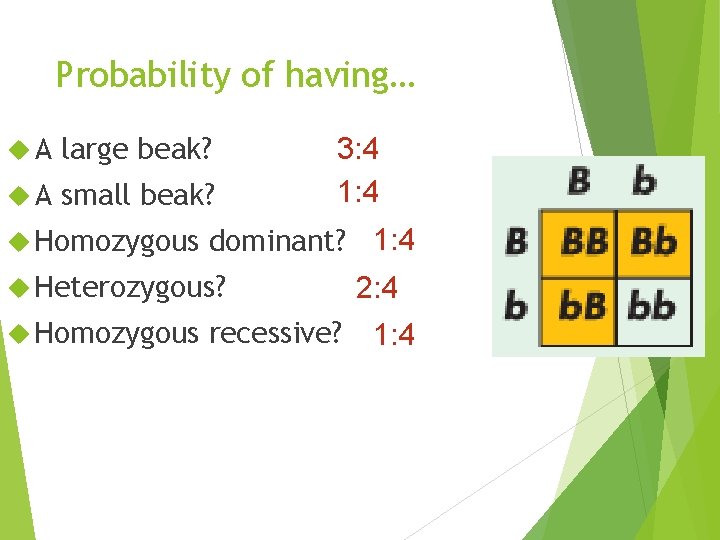 Probability of having… A large beak? A small beak? Homozygous 3: 4 1: 4