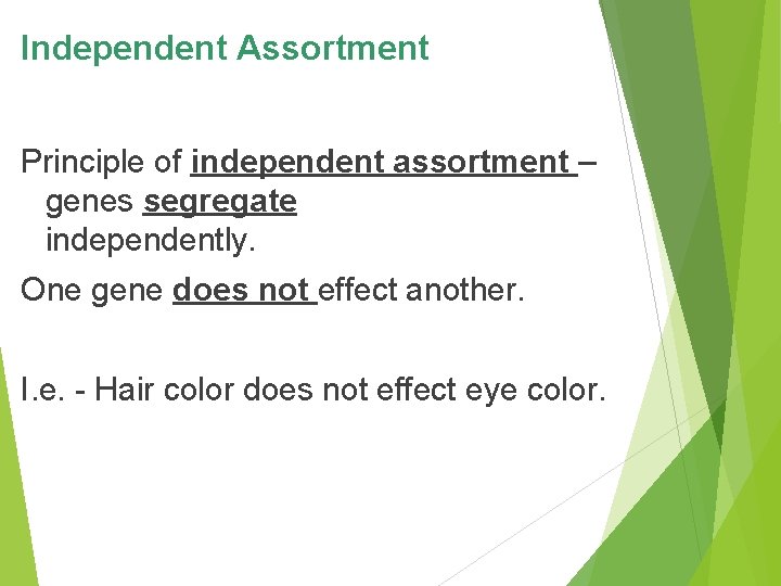 Independent Assortment Principle of independent assortment – genes segregate independently. One gene does not