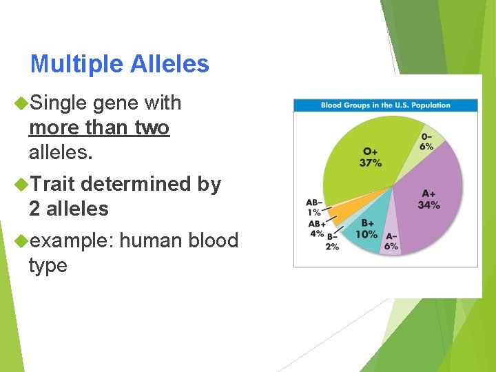 Multiple Alleles Single gene with more than two alleles. Trait determined by 2 alleles