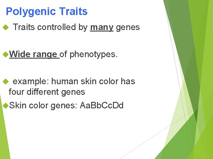 Polygenic Traits controlled by many genes Wide range of phenotypes. example: human skin color