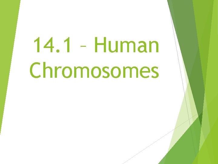 14. 1 – Human Chromosomes 