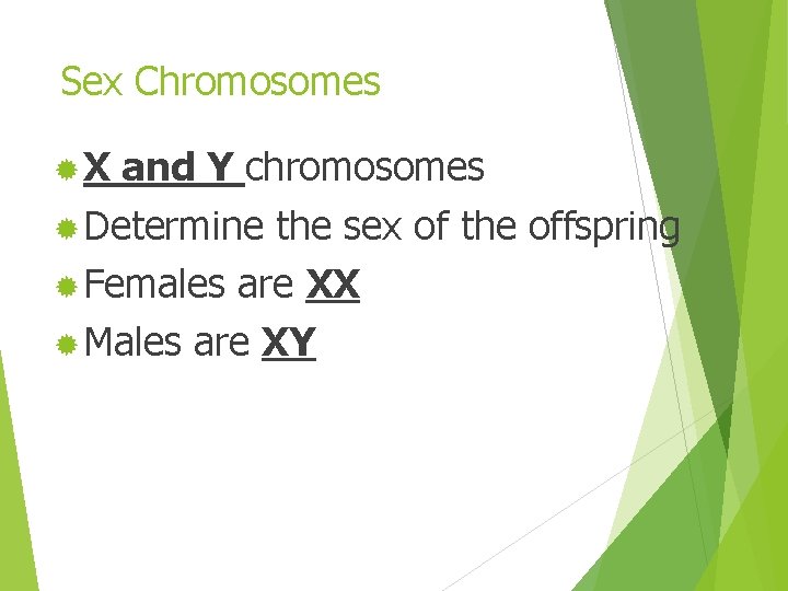 Sex Chromosomes ®X and Y chromosomes ® Determine the sex of the offspring ®