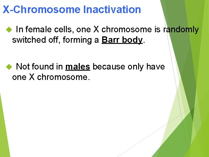 X-Chromosome Inactivation In female cells, one X chromosome is randomly switched off, forming a