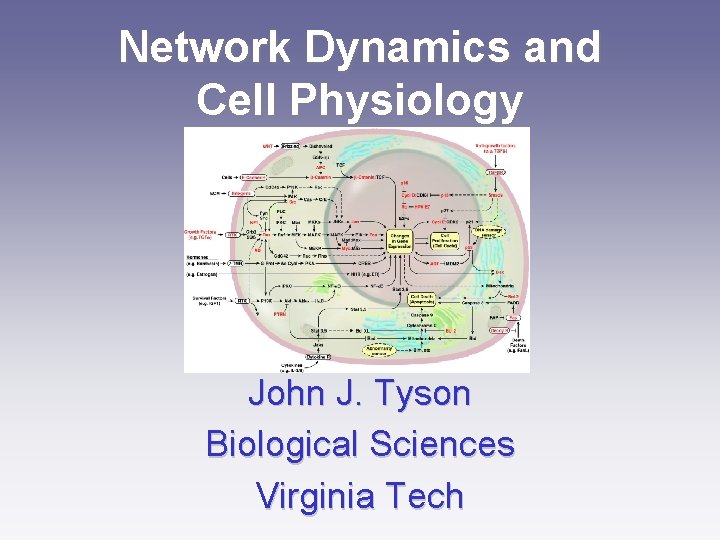 Network Dynamics and Cell Physiology John J. Tyson Biological Sciences Virginia Tech Network Dynamics and Cell Physiology John J. Tyson Biological Sciences Virginia Tech