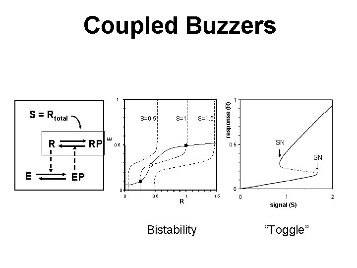 Coupled Buzzers S = Rtotal R RP S=1. 5 E S=0. 5 response (R) Coupled Buzzers S = Rtotal R RP S=1. 5 E S=0. 5 response (R)