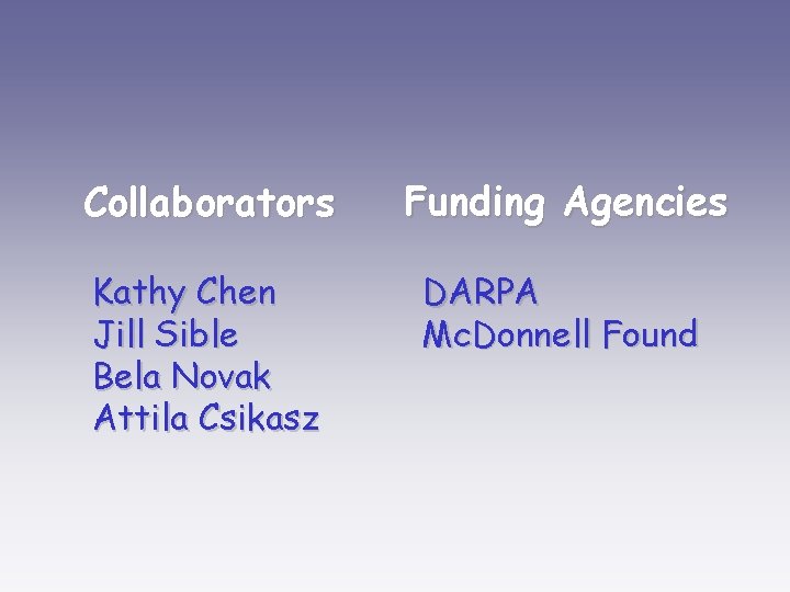 Collaborators Funding Agencies Kathy Chen Jill Sible Bela Novak Attila Csikasz DARPA Mc. Donnell Collaborators Funding Agencies Kathy Chen Jill Sible Bela Novak Attila Csikasz DARPA Mc. Donnell