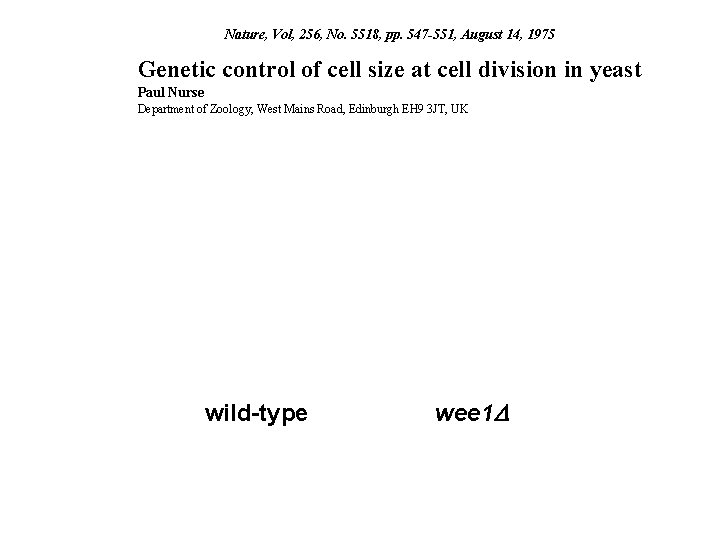 Nature, Vol, 256, No. 5518, pp. 547 -551, August 14, 1975 Genetic control of Nature, Vol, 256, No. 5518, pp. 547 -551, August 14, 1975 Genetic control of