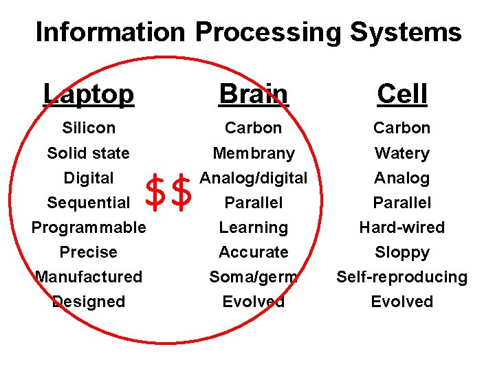 Information Processing Systems Laptop Brain Cell Silicon Carbon Solid state Membrany Analog/digital Watery $$ Information Processing Systems Laptop Brain Cell Silicon Carbon Solid state Membrany Analog/digital Watery $$