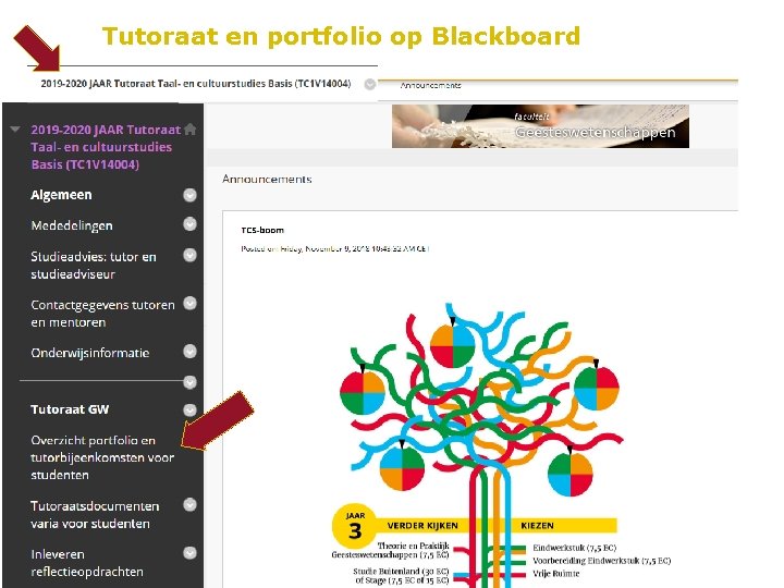 Tutoraat en portfolio op Blackboard 