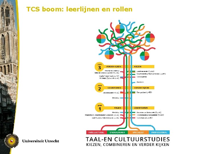 TCS boom: leerlijnen en rollen 