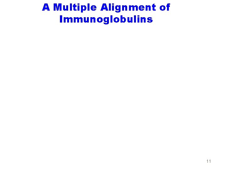 A Multiple Alignment of Immunoglobulins 11 