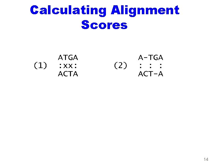 Calculating Alignment Scores 14 